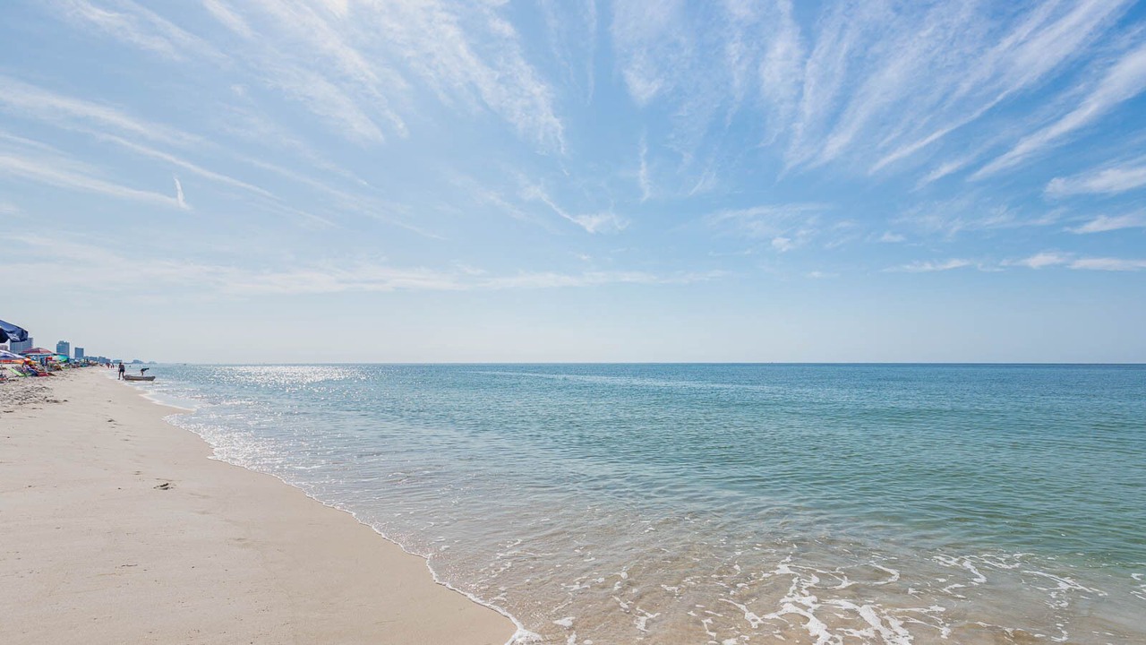 Photo of Others in Orange Beach