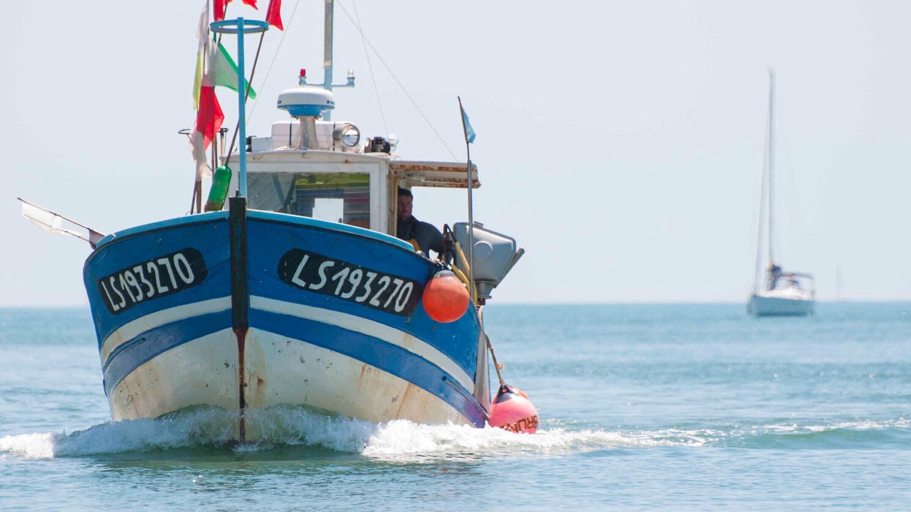 Photo of Others in Les Sables d'Olonne