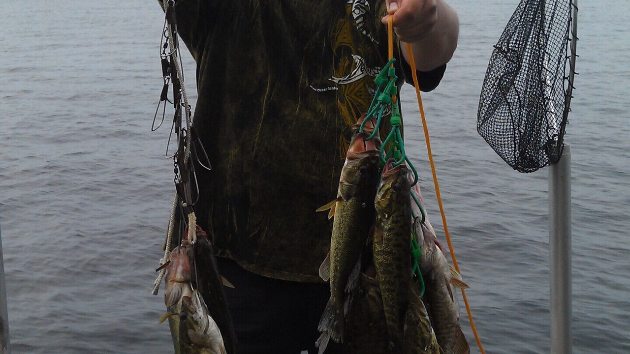 Photo of Others in Trent Lakes