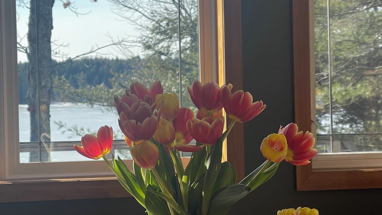 Photo of Outdoor in Bracebridge