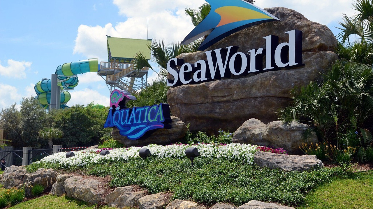 Photo of Others in West San Antonio