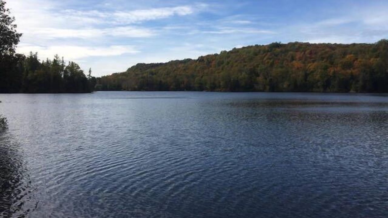Photo of Outdoor in Amherst