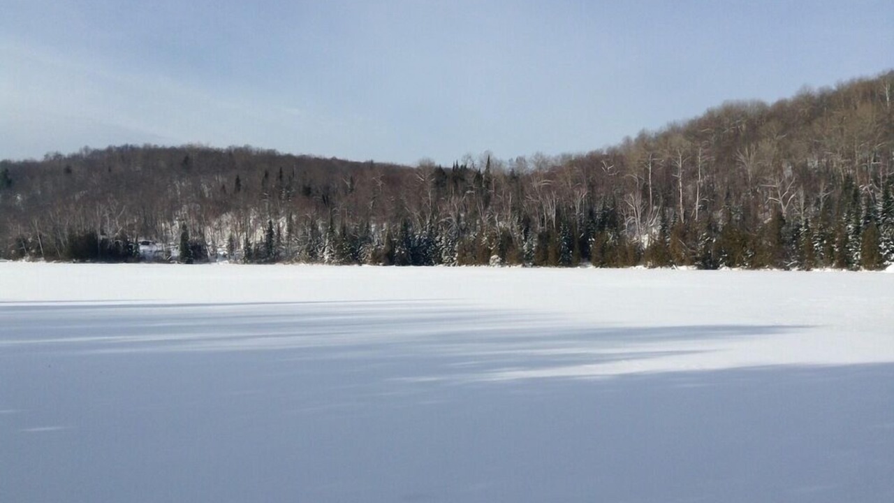 Photo of Outdoor in Amherst
