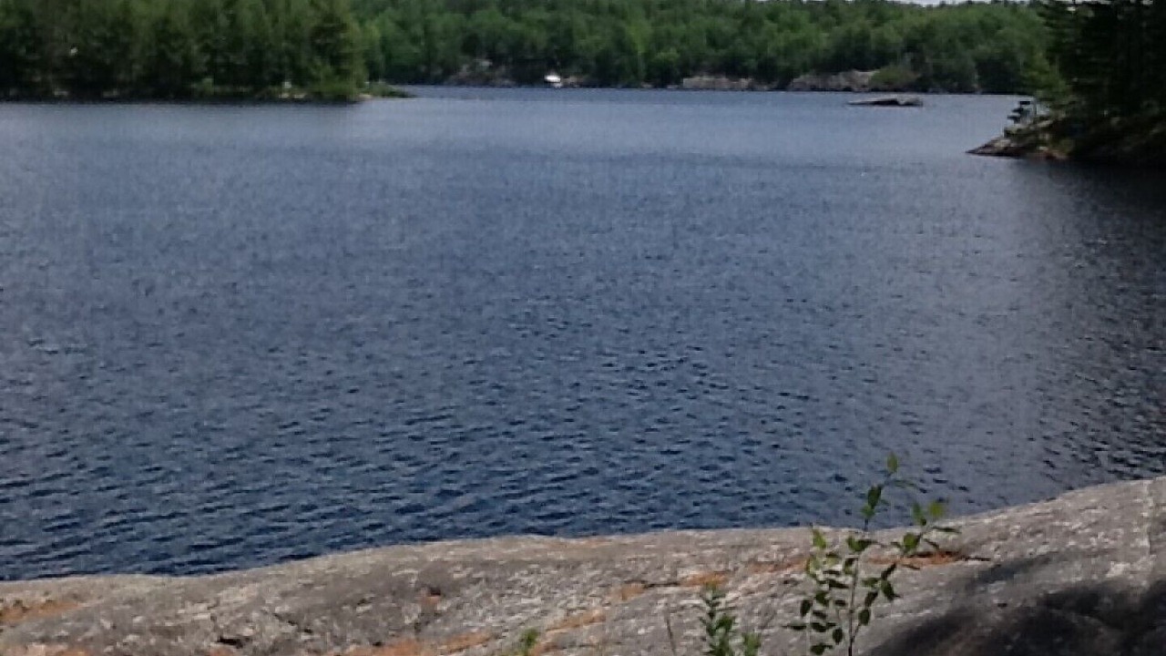 Photo of Outdoor in Sebright
