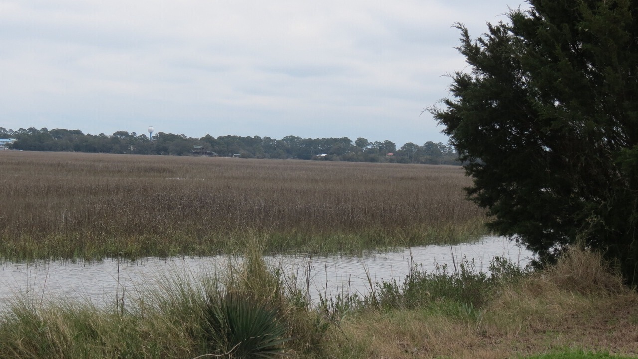 Photo of Others in Tybee Island