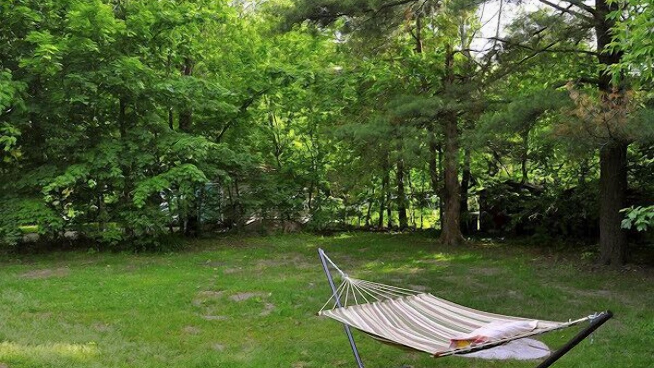 Photo of Others in Alcona