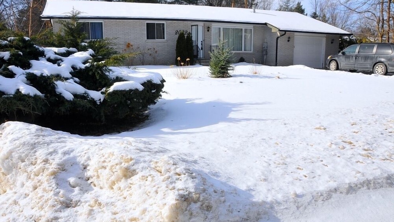 Photo of Others in Alcona