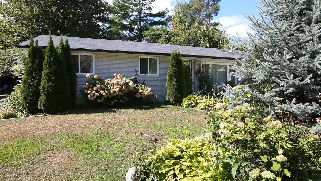 Photo of Outdoor in Alcona