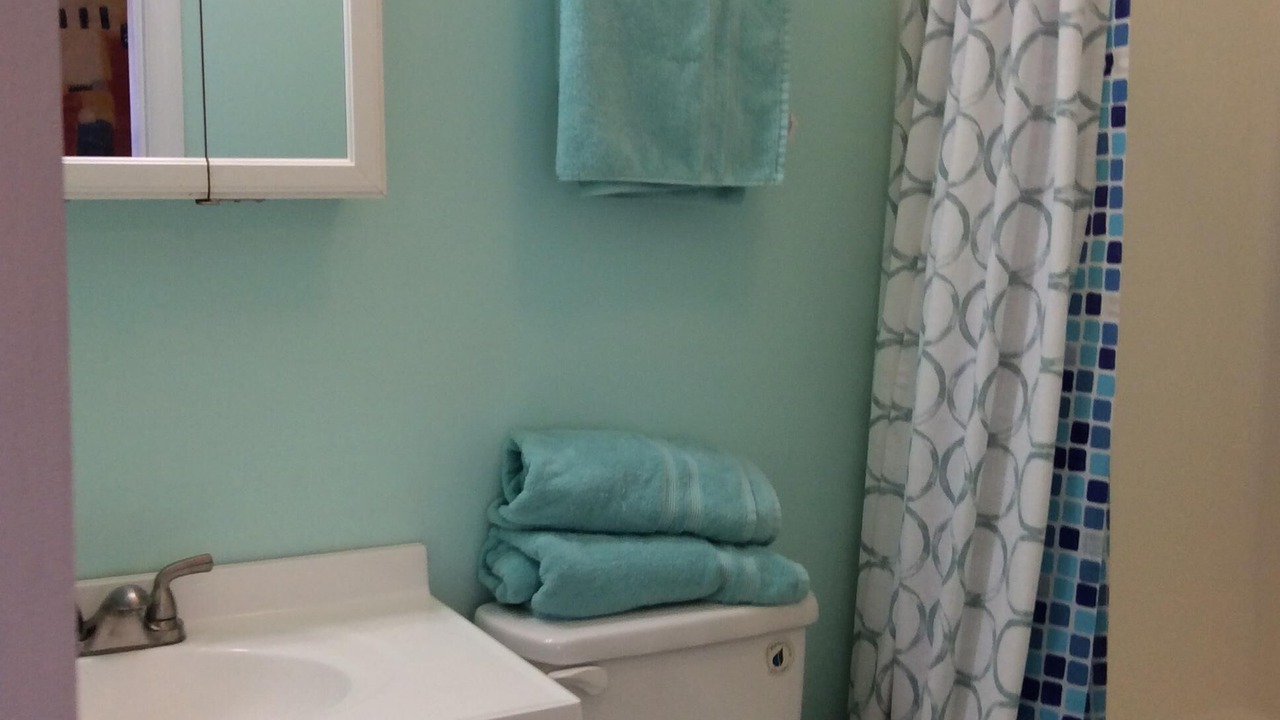 Photo of Bathroom in Lupton City