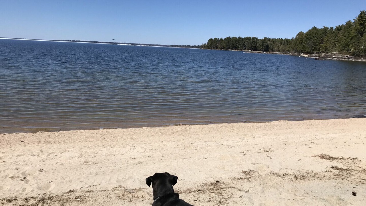 Photo of Others in Fort Frances