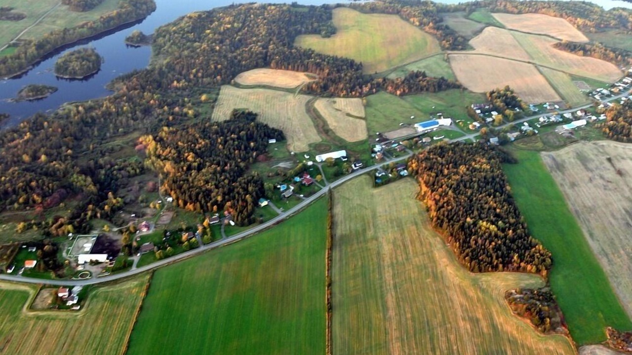 Photo of Others in Alma