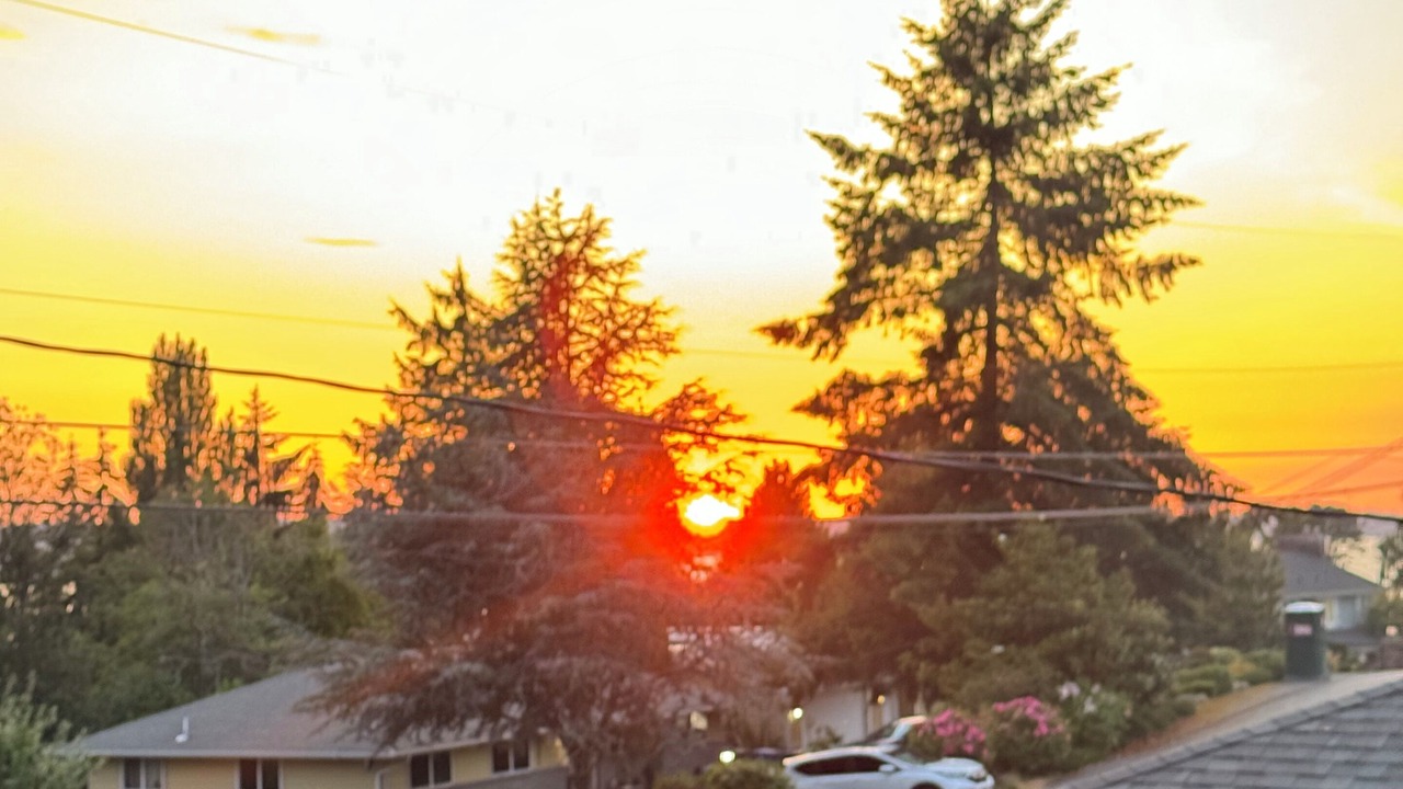 Photo of Others in Boulevard Bluffs