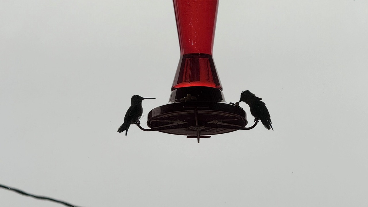 Photo of Others in Boulevard Bluffs