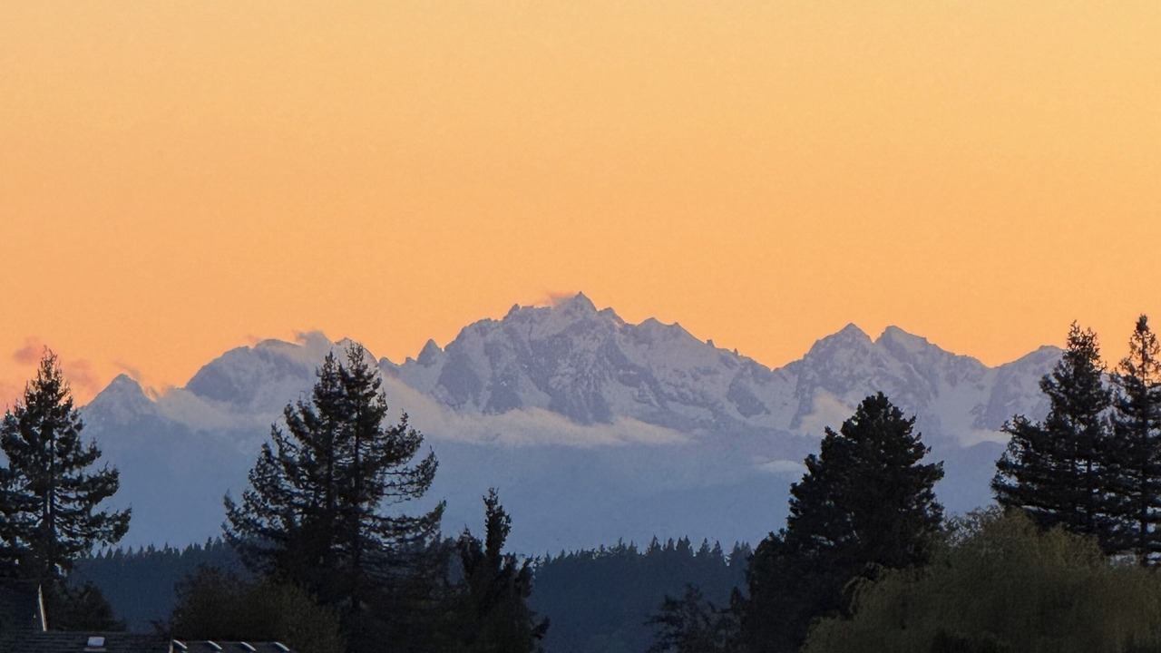 Photo of Others in Boulevard Bluffs