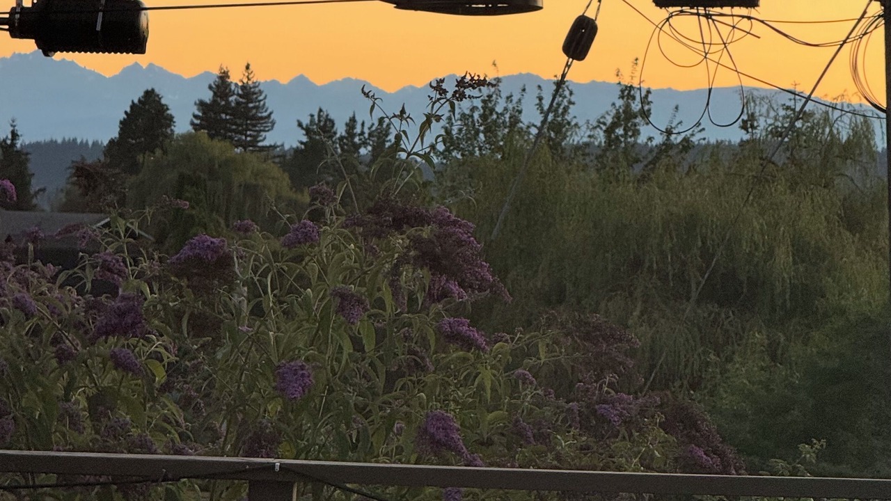 Photo of Outdoor in Boulevard Bluffs