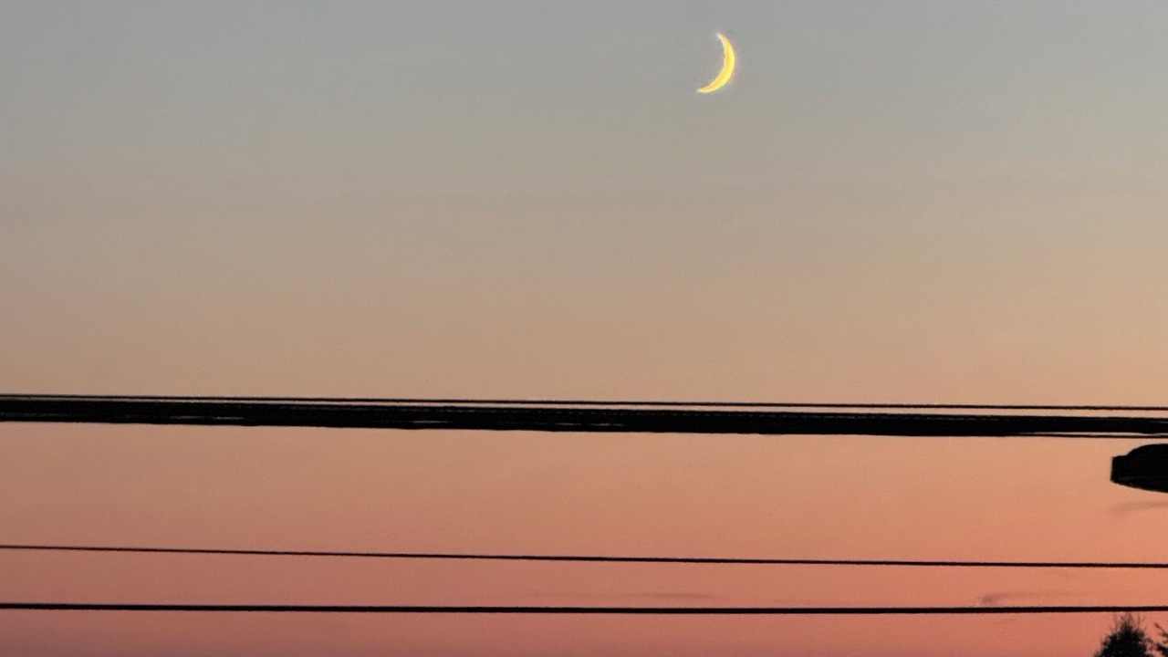 Photo of Others in Boulevard Bluffs