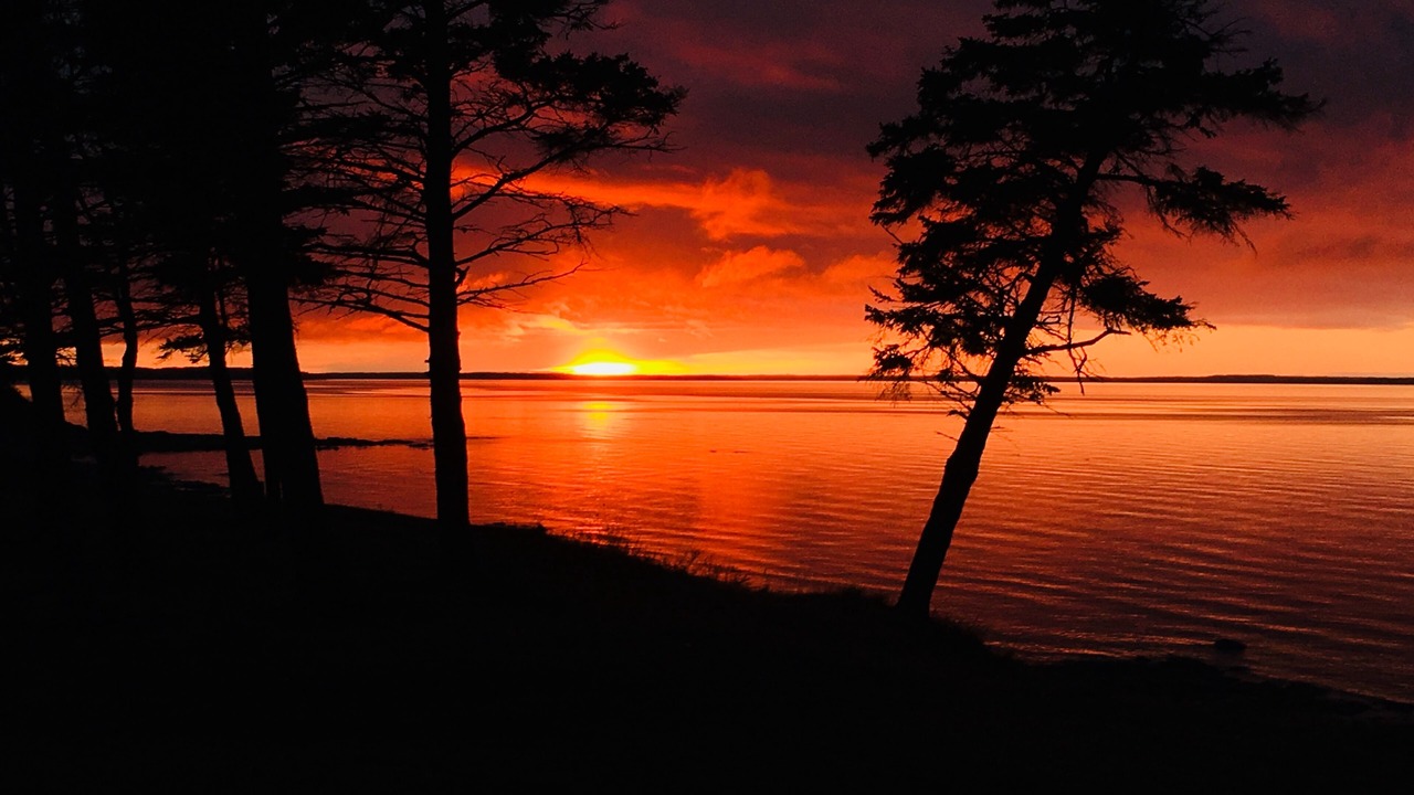Photo of Others in Malagash Mine