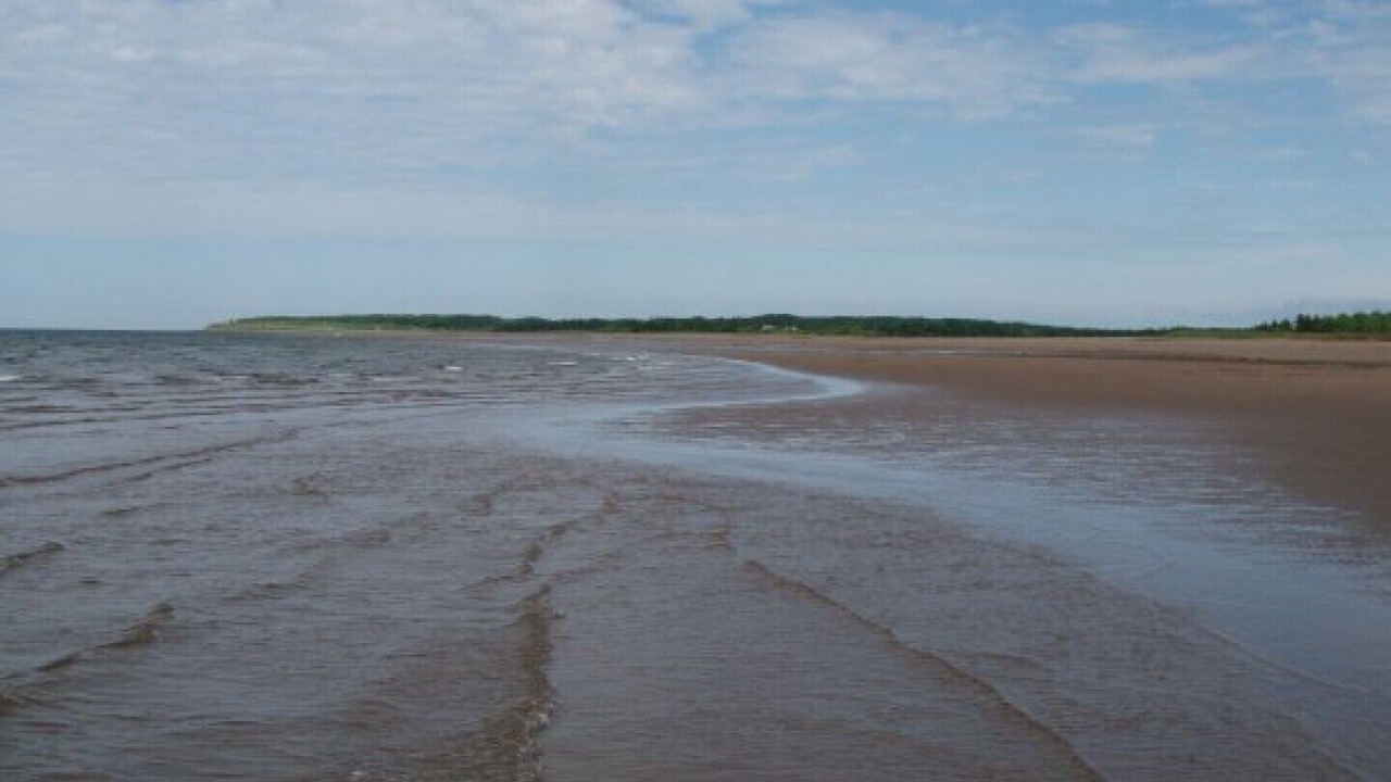 Photo of Others in Malagash Mine
