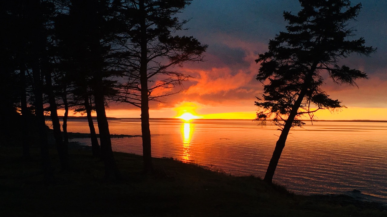 Photo of Others in Malagash Mine