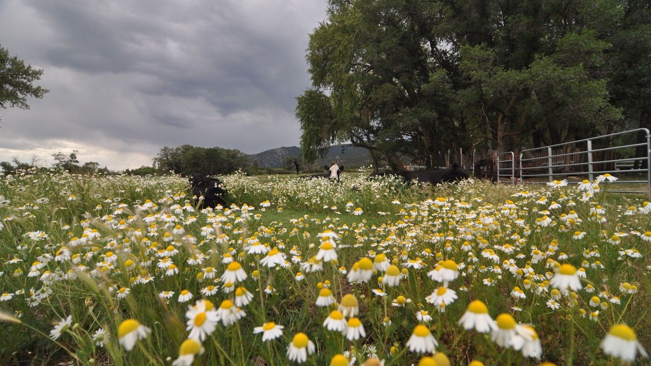 Photo of Outdoor in Arroyo Seco
