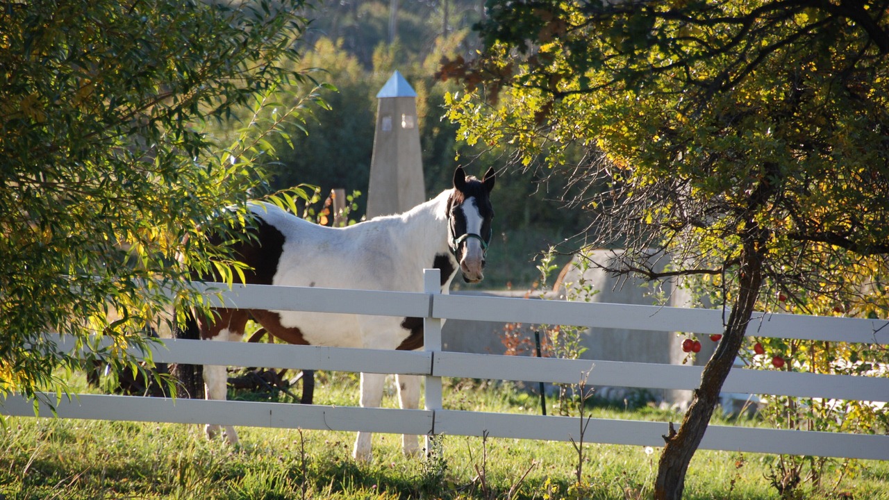 Photo of Outdoor in Arroyo Seco