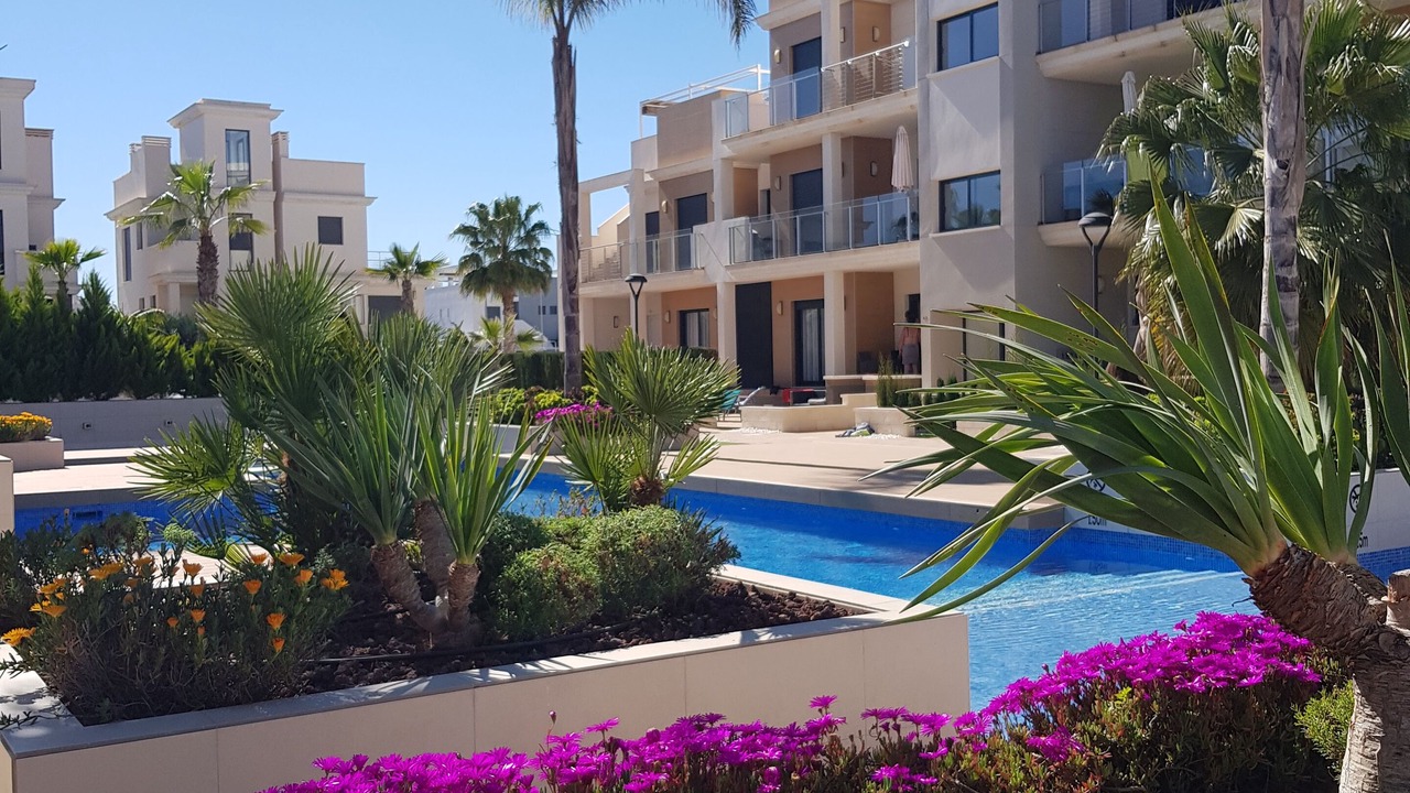 Photo of Outdoor in Playa Flamenca