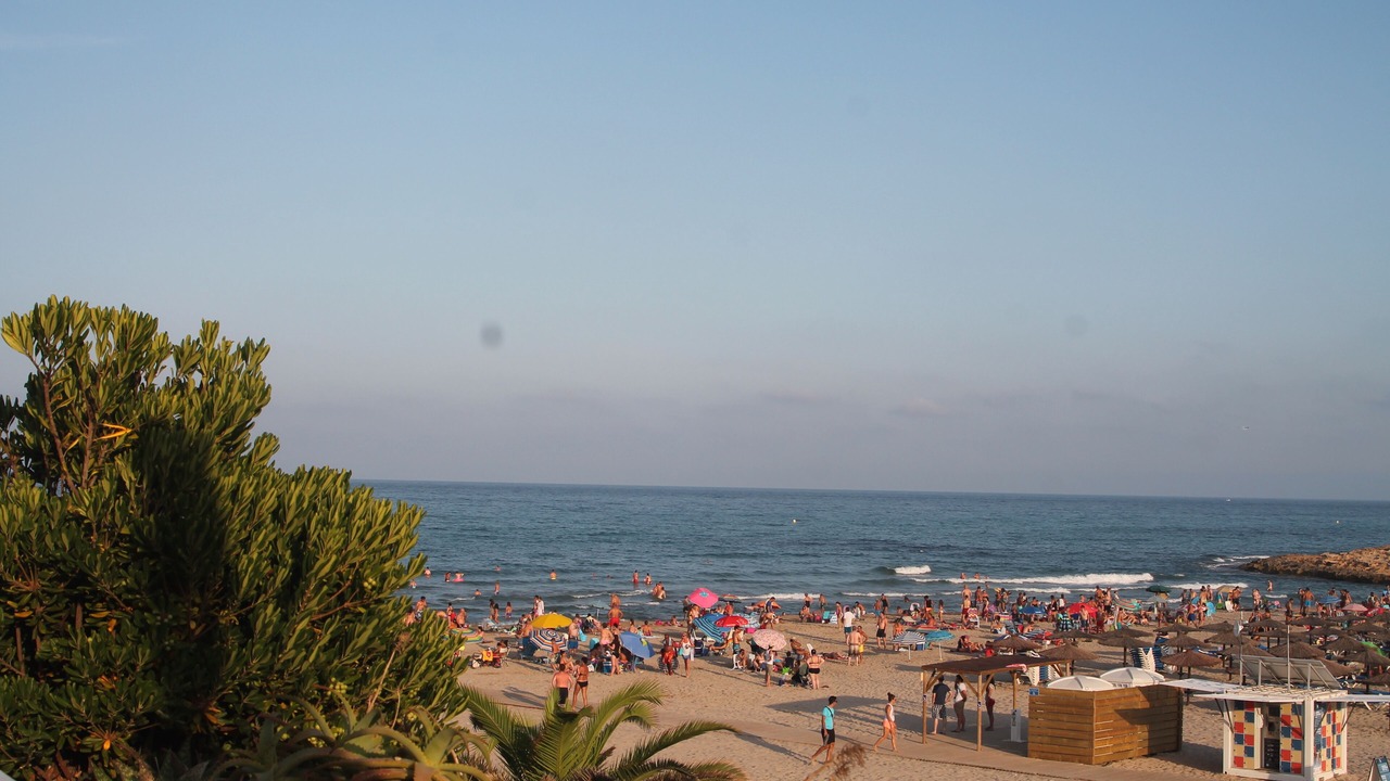 Photo of Others in Playa Flamenca