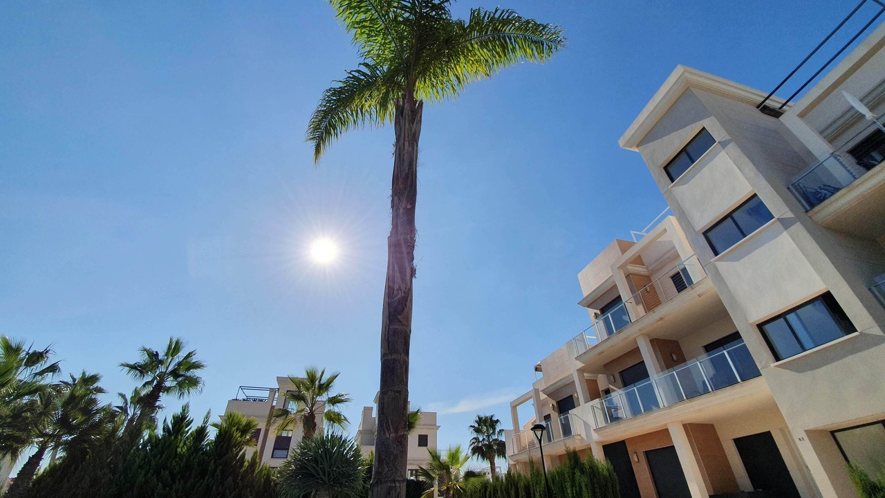 Photo of Outdoor in Playa Flamenca