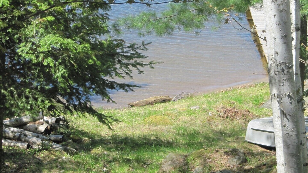 Photo of Others in Feronia