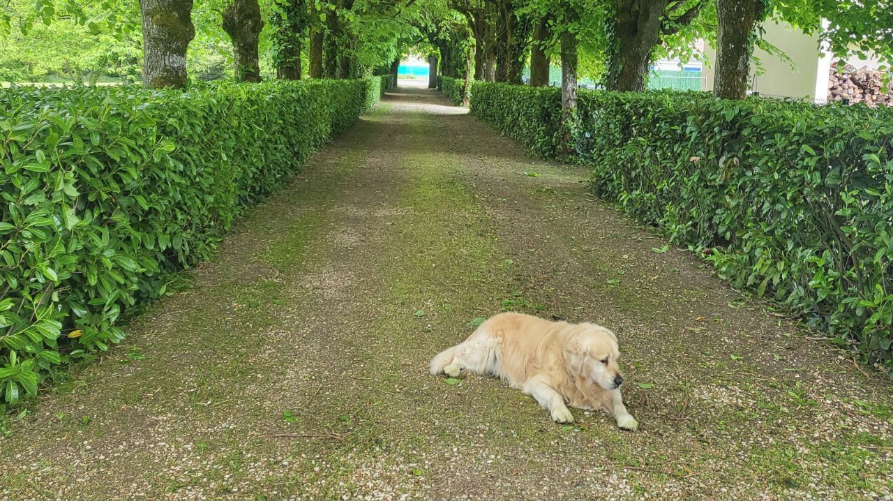 Photo of Outdoor in Neuville-aux-Bois