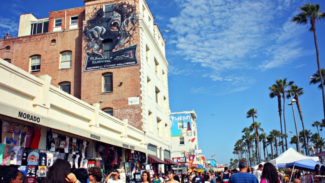 Photo of Others in Marina del Rey