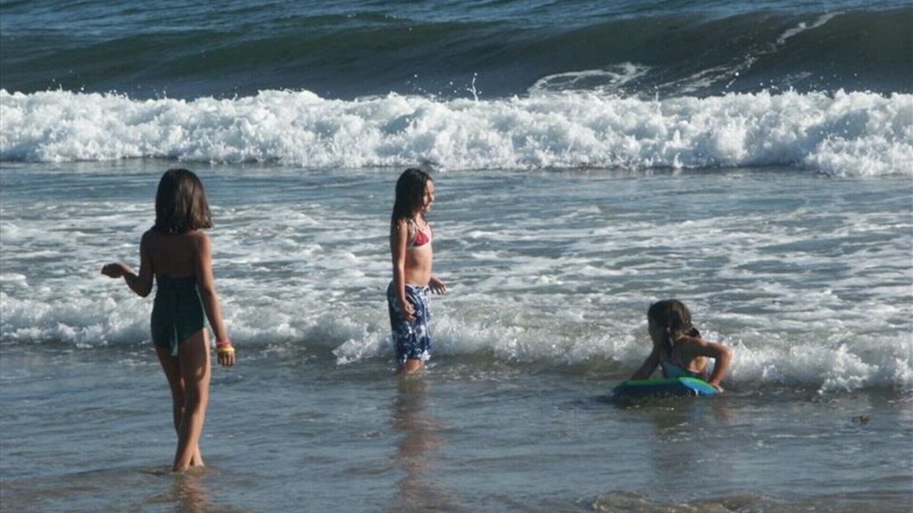 Photo of Others in Marina del Rey