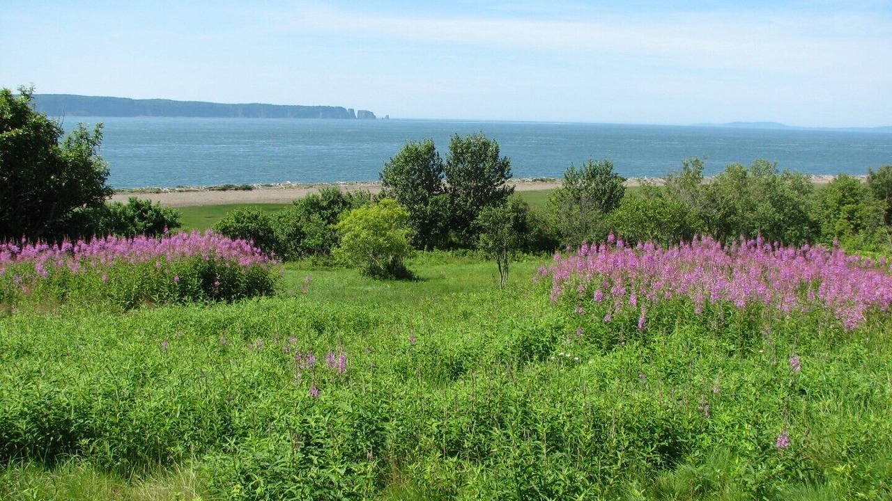 Photo of Others in Parrsboro