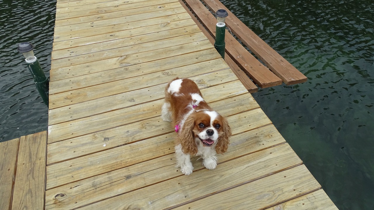 Photo of Others in Town of Torrey