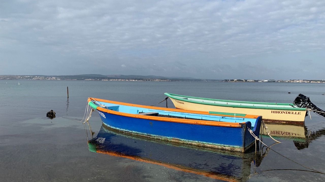 Photo of Others in Sete