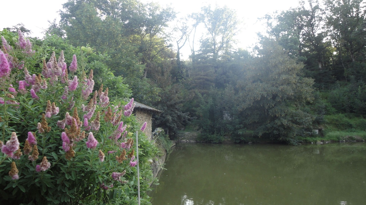 Photo of Outdoor in Naucelle