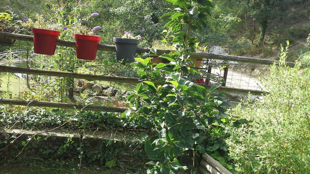 Photo of Outdoor in Naucelle