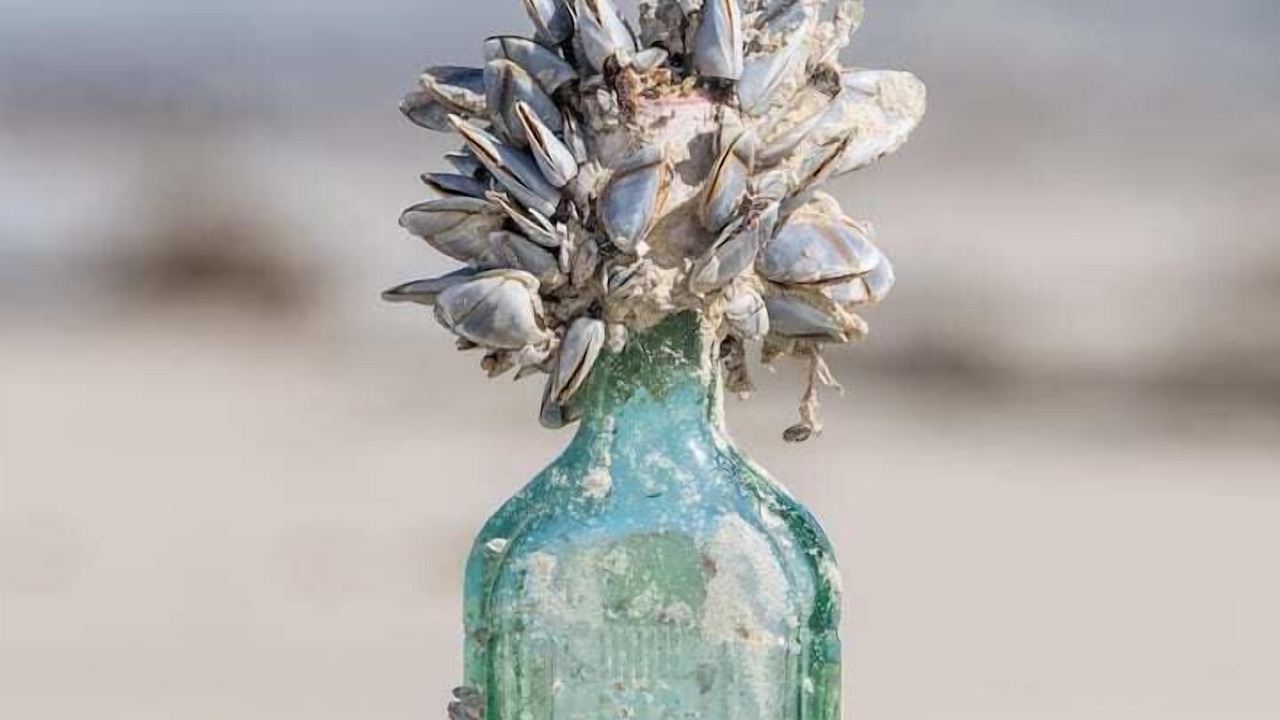 Photo of Others in Portland