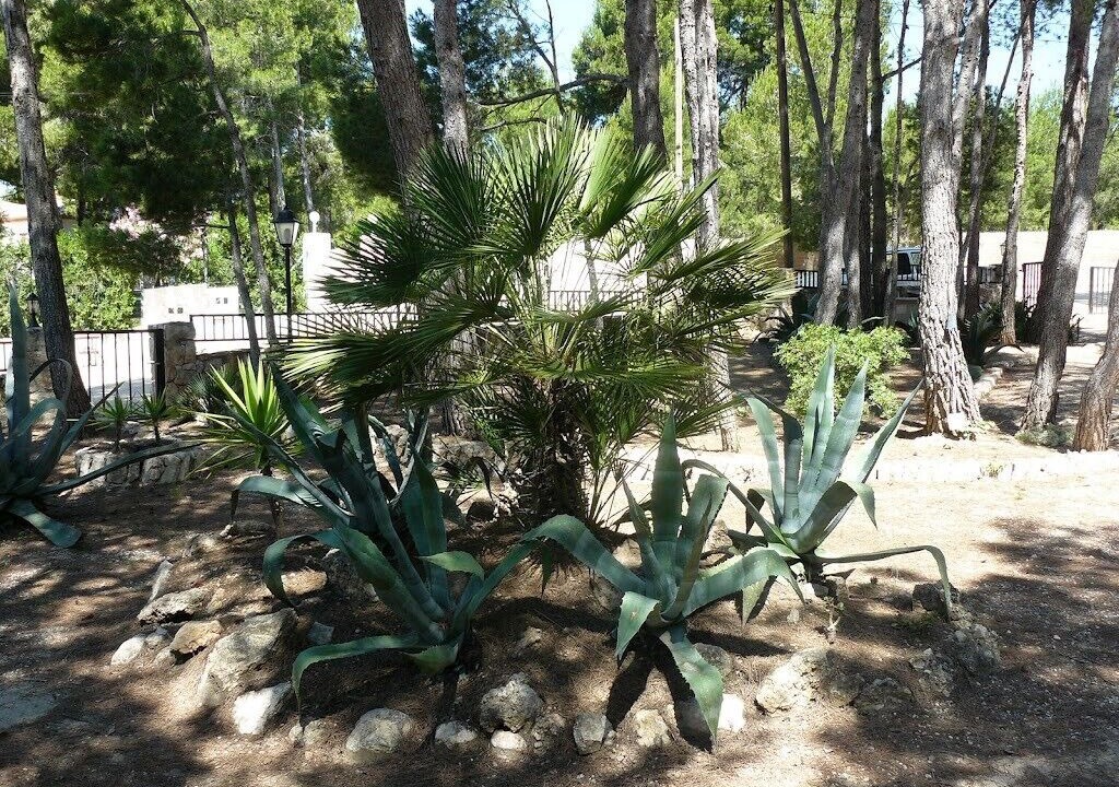 Photo of Outdoor in L'Ametlla de Mar