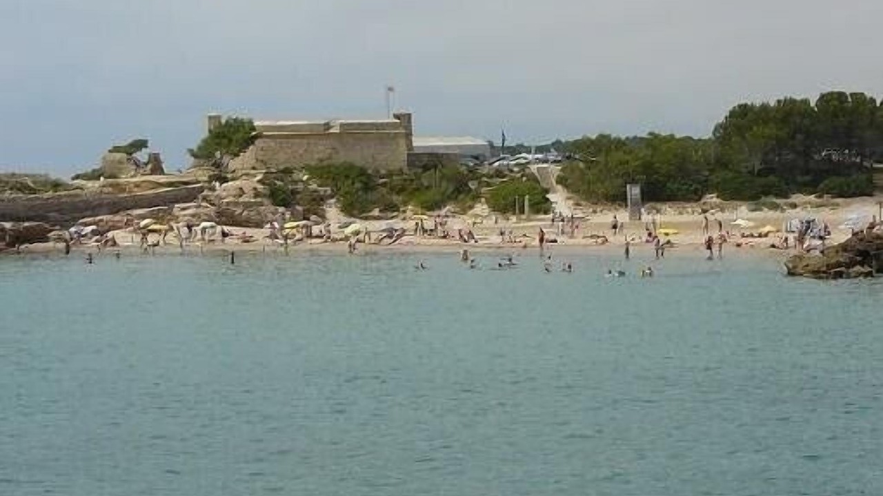 Photo of Others in L'Ametlla de Mar