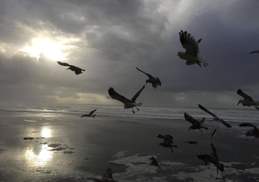 Photo of Others in Rockaway Beach