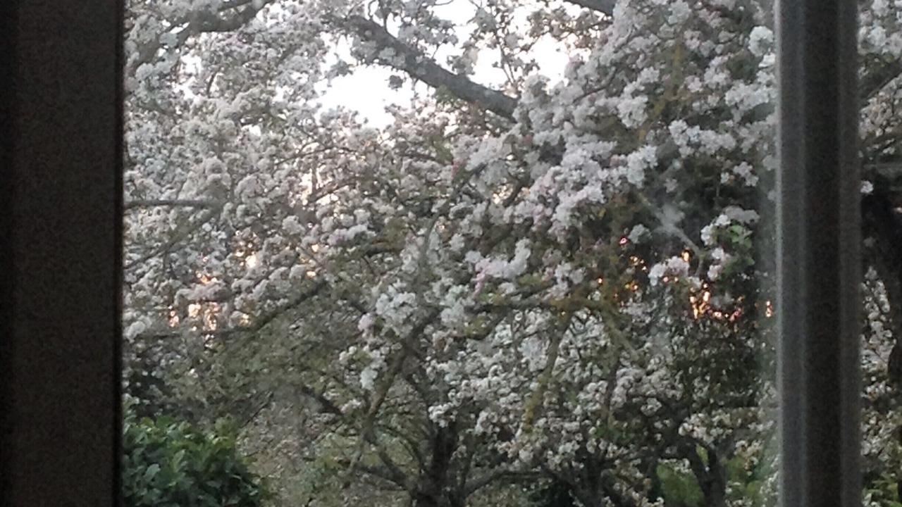 Photo of Others in Romagny-Fontenay