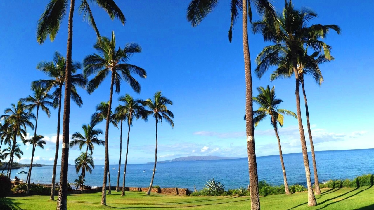 Photo of Others in Kihei