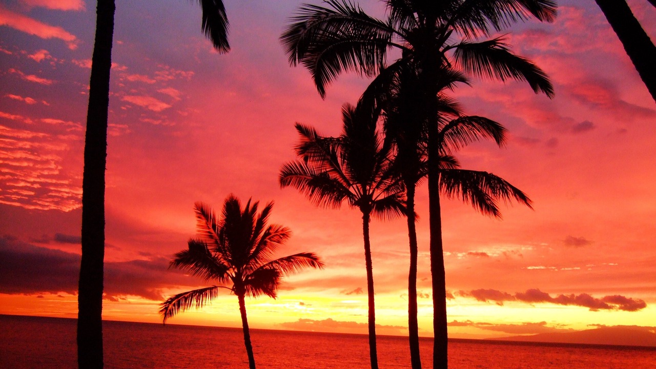 Photo of Outdoor in Kihei