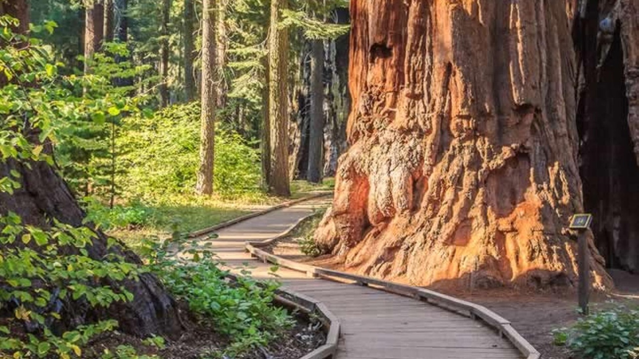 Photo of Others in Glencoe