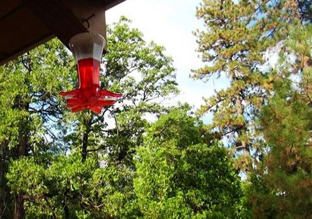 Photo of Outdoor in Glencoe