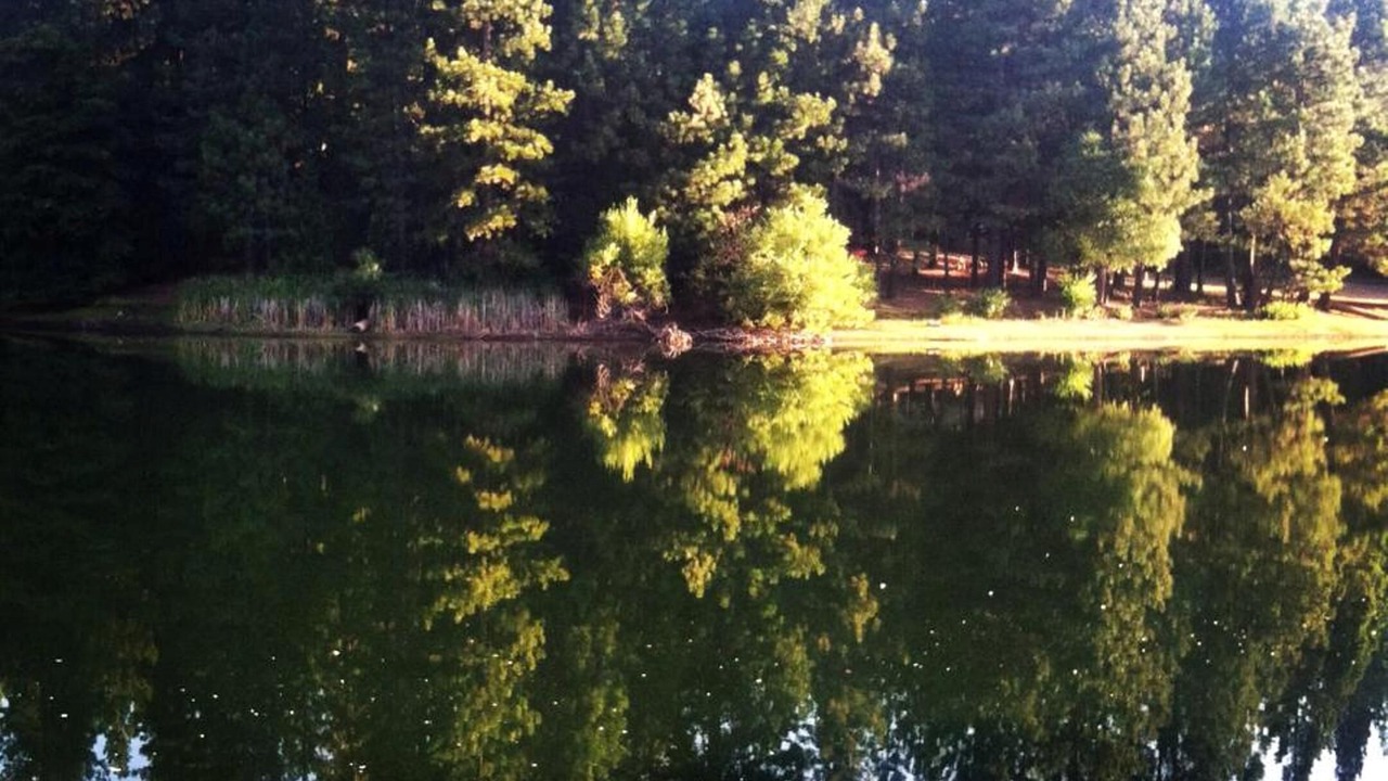 Photo of Outdoor in Glencoe