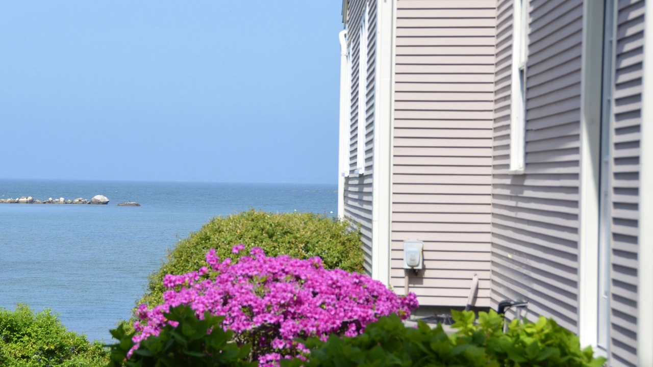 Photo of Others in Silver Beach