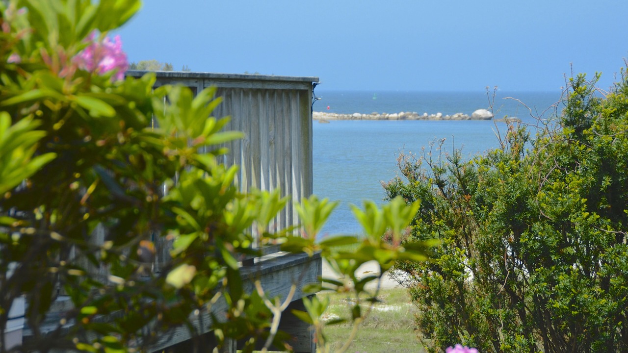 Photo of Outdoor in Silver Beach