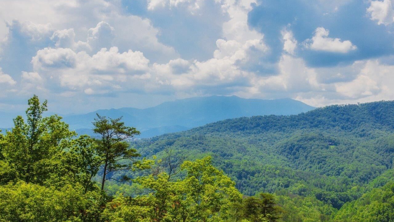Photo of Others in Pigeon Forge